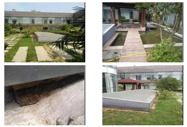 ˳ӯ����-����ƽ̨,ע�ᳩ����Ԫѡ��!