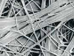 ˳ӯ����-����ƽ̨,ע�ᳩ����Ԫѡ��!