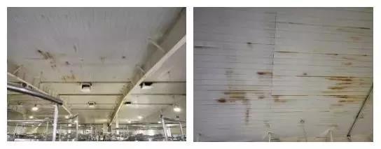 ˳ӯ����-����ƽ̨,ע�ᳩ����Ԫѡ��!