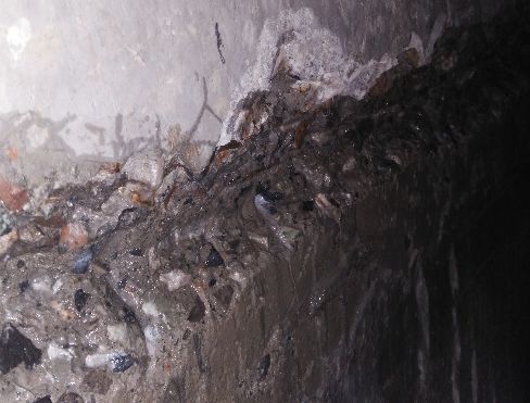 ˳ӯ����-����ƽ̨,ע�ᳩ����Ԫѡ��!