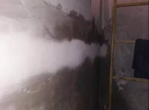 ˳ӯ����-����ƽ̨,ע�ᳩ����Ԫѡ��!