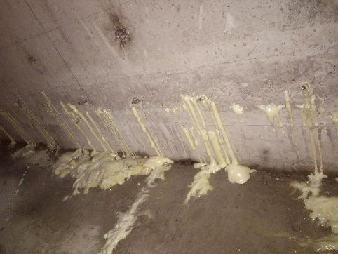 ˳ӯ����-����ƽ̨,ע�ᳩ����Ԫѡ��!