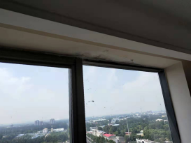 ˳ӯ����-����ƽ̨,ע�ᳩ����Ԫѡ��!