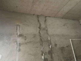 ˳ӯ����-����ƽ̨,ע�ᳩ����Ԫѡ��!