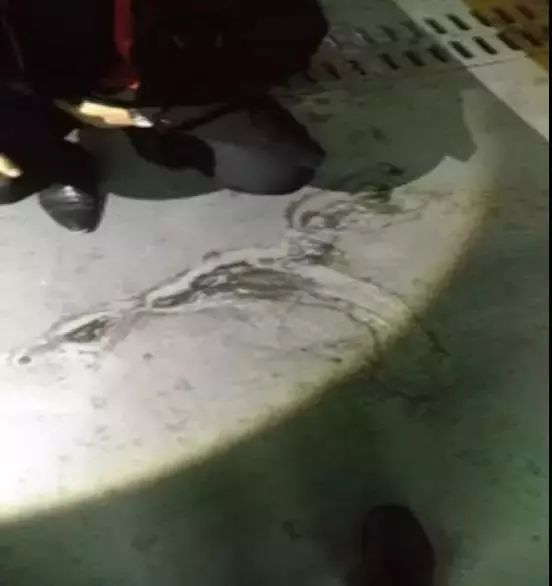 ˳ӯ����-����ƽ̨,ע�ᳩ����Ԫѡ��!