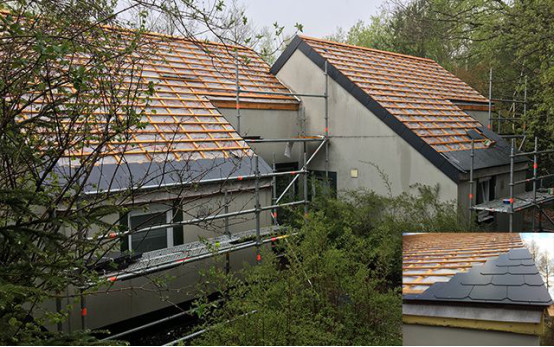 ˳ӯ����-����ƽ̨,ע�ᳩ����Ԫѡ��!