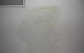 ˳ӯ����-����ƽ̨,ע�ᳩ����Ԫѡ��!