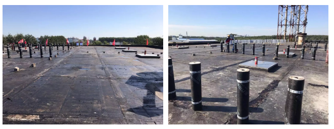 ˳ӯ����-����ƽ̨,ע�ᳩ����Ԫѡ��!