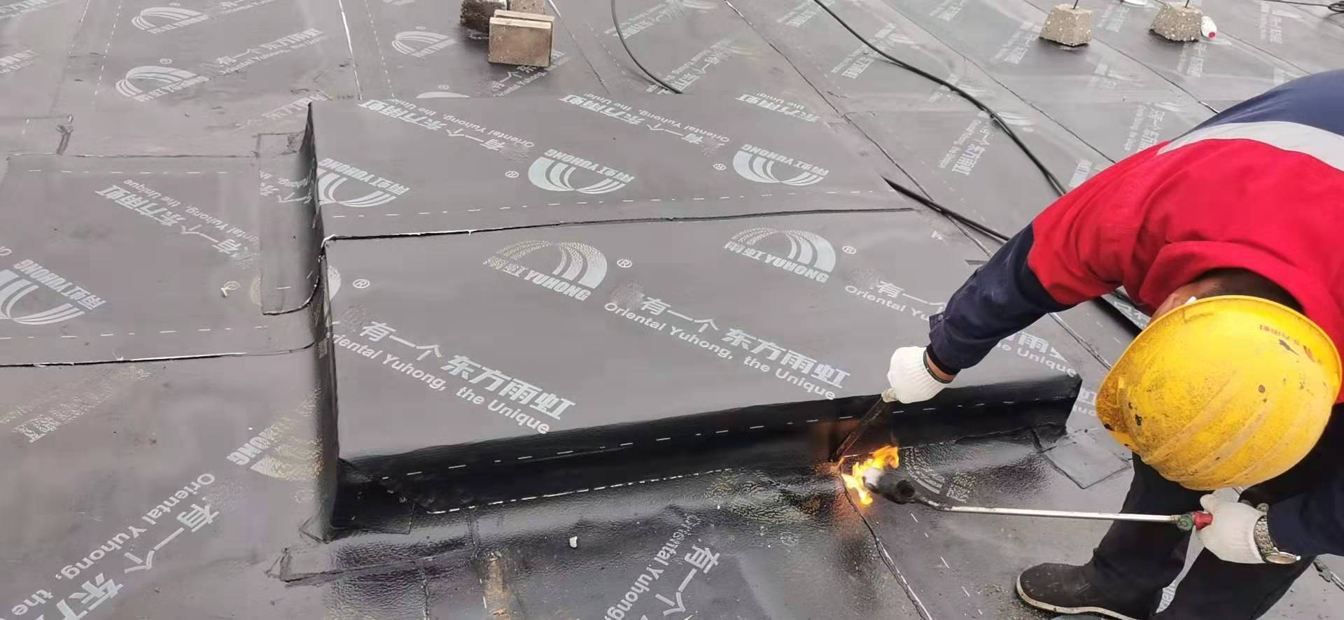 ˳ӯ����-����ƽ̨,ע�ᳩ����Ԫѡ��!