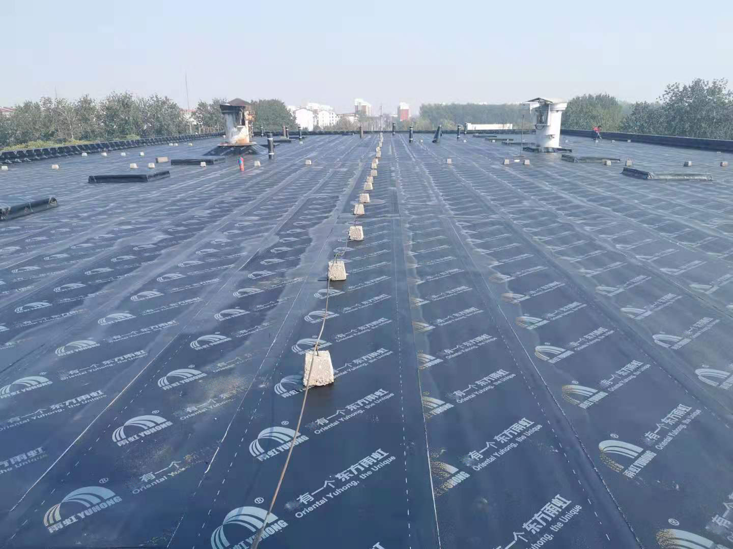 ˳ӯ����-����ƽ̨,ע�ᳩ����Ԫѡ��!