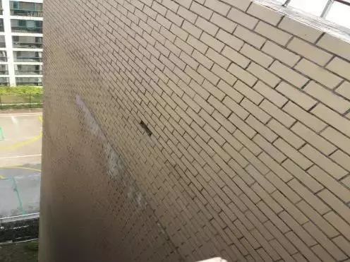 ˳ӯ����-����ƽ̨,ע�ᳩ����Ԫѡ��!