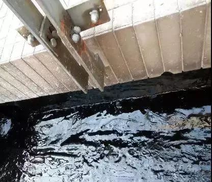 ˳ӯ����-����ƽ̨,ע�ᳩ����Ԫѡ��!