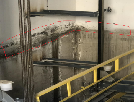 ˳ӯ����-����ƽ̨,ע�ᳩ����Ԫѡ��!