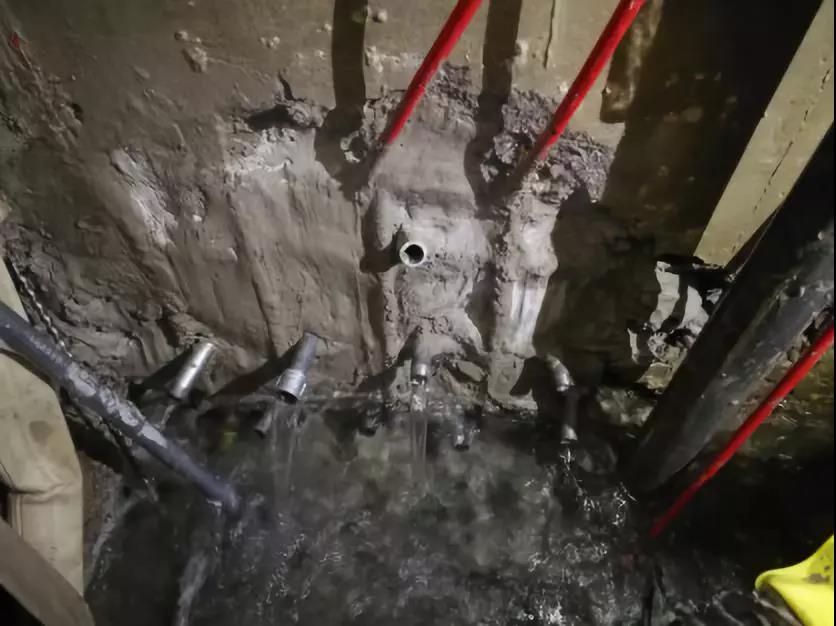 ˳ӯ����-����ƽ̨,ע�ᳩ����Ԫѡ��!