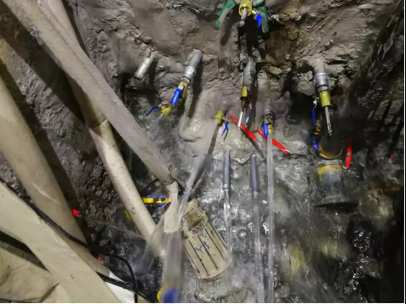 ˳ӯ����-����ƽ̨,ע�ᳩ����Ԫѡ��!