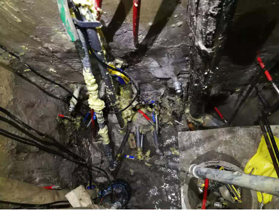 ˳ӯ����-����ƽ̨,ע�ᳩ����Ԫѡ��!