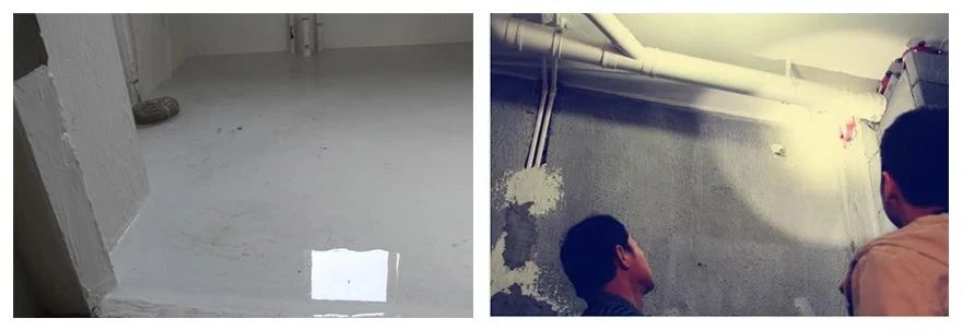 ˳ӯ����-����ƽ̨,ע�ᳩ����Ԫѡ��!