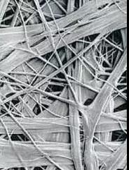 ˳ӯ����-����ƽ̨,ע�ᳩ����Ԫѡ��!