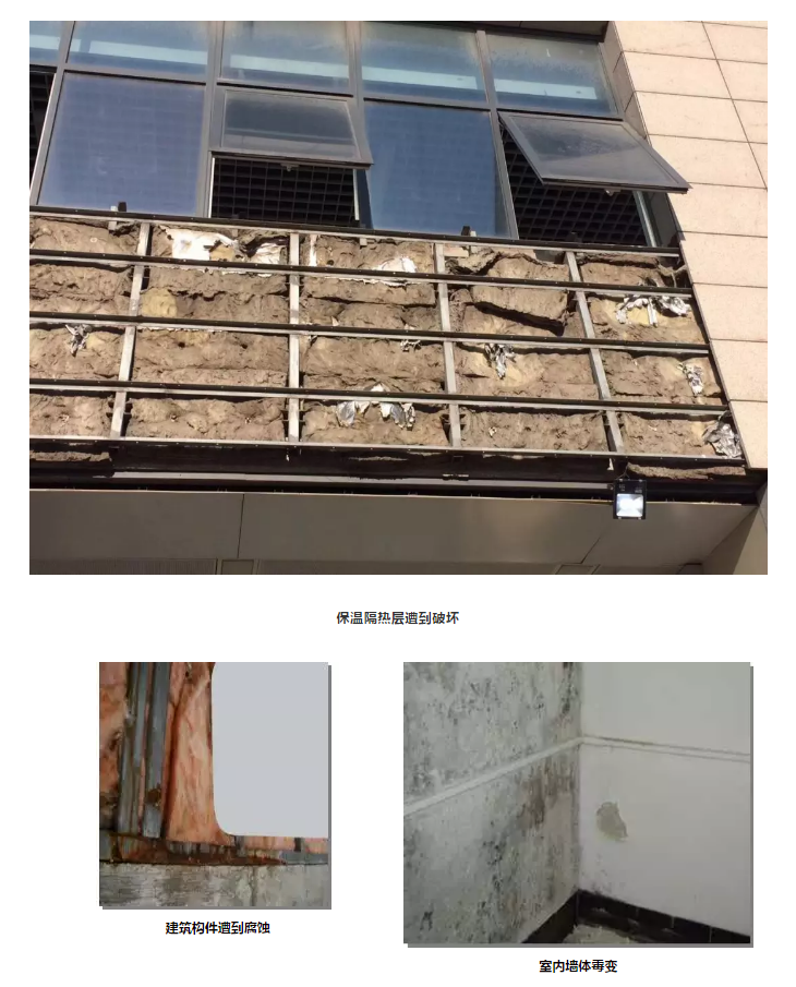 ˳ӯ����-����ƽ̨,ע�ᳩ����Ԫѡ��!