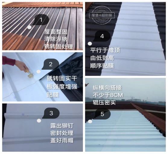 ˳ӯ����-����ƽ̨,ע�ᳩ����Ԫѡ��!