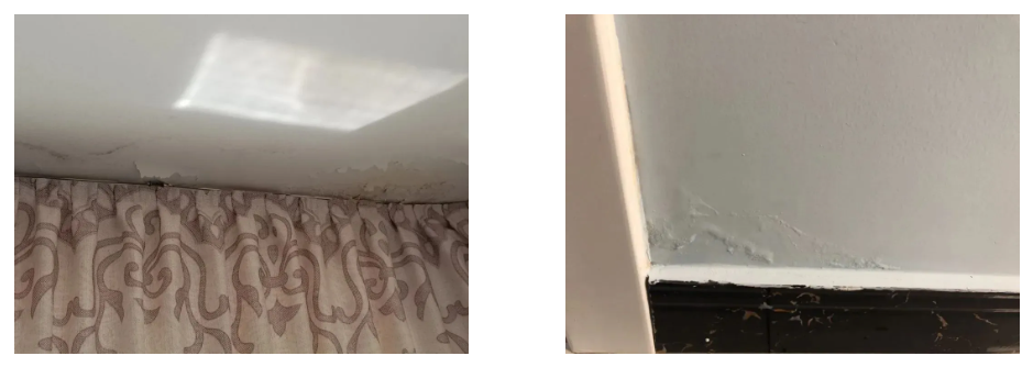 ˳ӯ����-����ƽ̨,ע�ᳩ����Ԫѡ��!