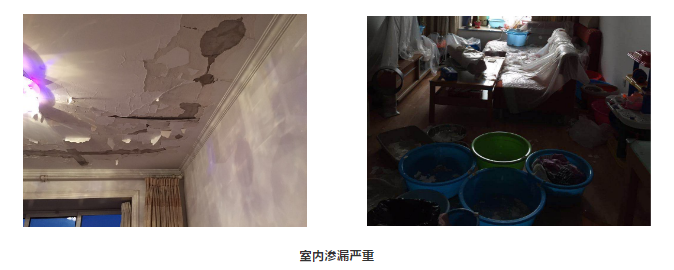 ˳ӯ����-����ƽ̨,ע�ᳩ����Ԫѡ��!