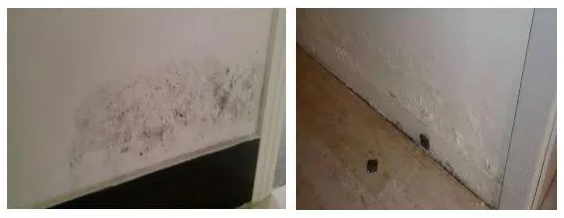 ˳ӯ����-����ƽ̨,ע�ᳩ����Ԫѡ��!