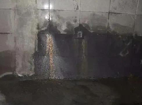 ˳ӯ����-����ƽ̨,ע�ᳩ����Ԫѡ��!