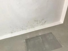 ˳ӯ����-����ƽ̨,ע�ᳩ����Ԫѡ��!