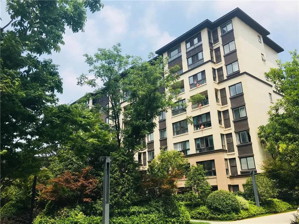 ˳ӯ����-����ƽ̨,ע�ᳩ����Ԫѡ��!