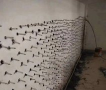 ˳ӯ����-����ƽ̨,ע�ᳩ����Ԫѡ��!