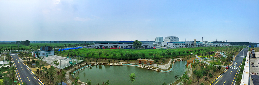 ˳ӯ����-����ƽ̨,ע�ᳩ����Ԫѡ��!