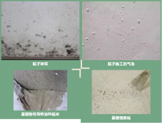 ˳ӯ����-����ƽ̨,ע�ᳩ����Ԫѡ��!