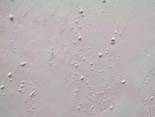 ˳ӯ����-����ƽ̨,ע�ᳩ����Ԫѡ��!