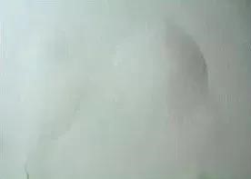 ˳ӯ����-����ƽ̨,ע�ᳩ����Ԫѡ��!