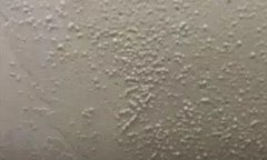 ˳ӯ����-����ƽ̨,ע�ᳩ����Ԫѡ��!