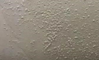 ˳ӯ����-����ƽ̨,ע�ᳩ����Ԫѡ��!