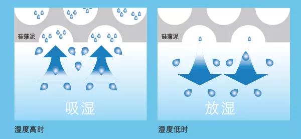 ˳ӯ����-����ƽ̨,ע�ᳩ����Ԫѡ��!