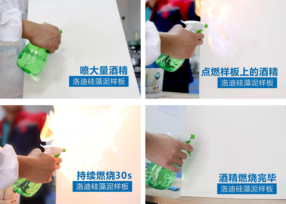 ˳ӯ����-����ƽ̨,ע�ᳩ����Ԫѡ��!