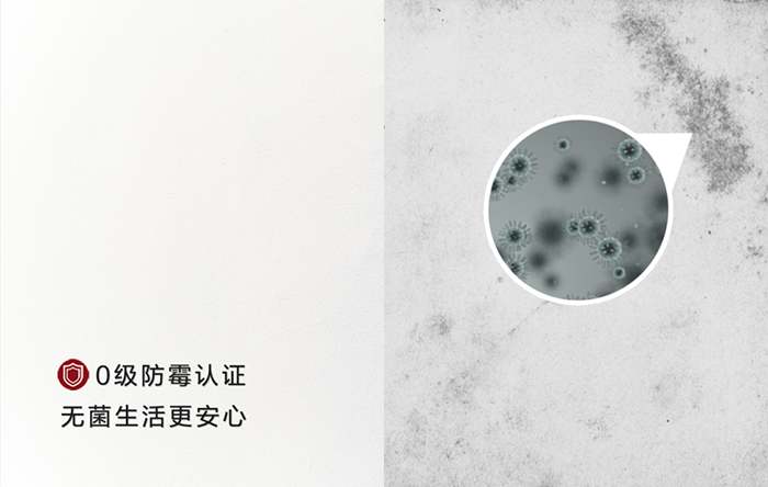 ˳ӯ����-����ƽ̨,ע�ᳩ����Ԫѡ��!