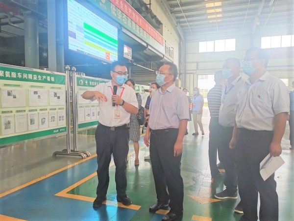 ˳ӯ����-����ƽ̨,ע�ᳩ����Ԫѡ��!