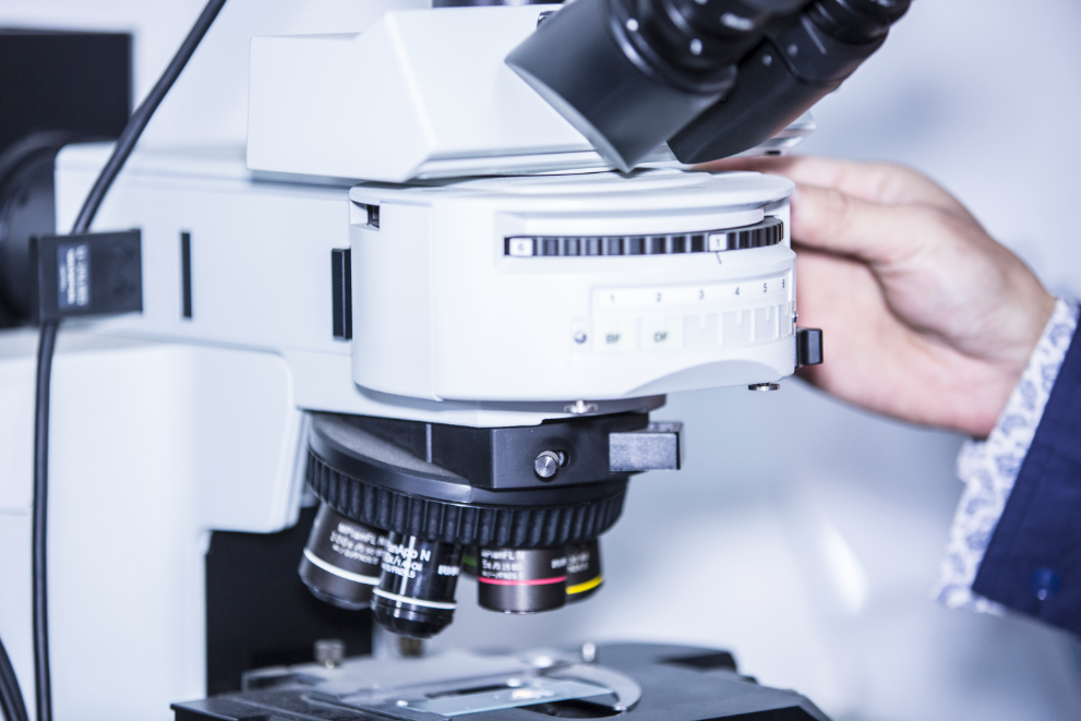 ˳ӯ����-����ƽ̨,ע�ᳩ����Ԫѡ��!