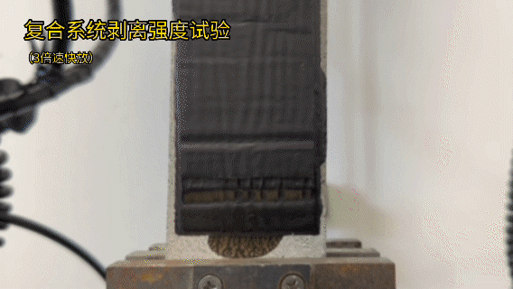 ˳ӯ����-����ƽ̨,ע�ᳩ����Ԫѡ��!