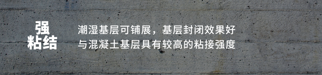 ˳ӯ����-����ƽ̨,ע�ᳩ����Ԫѡ��!