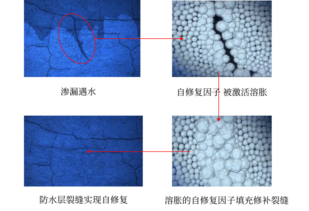 ˳ӯ����-����ƽ̨,ע�ᳩ����Ԫѡ��!