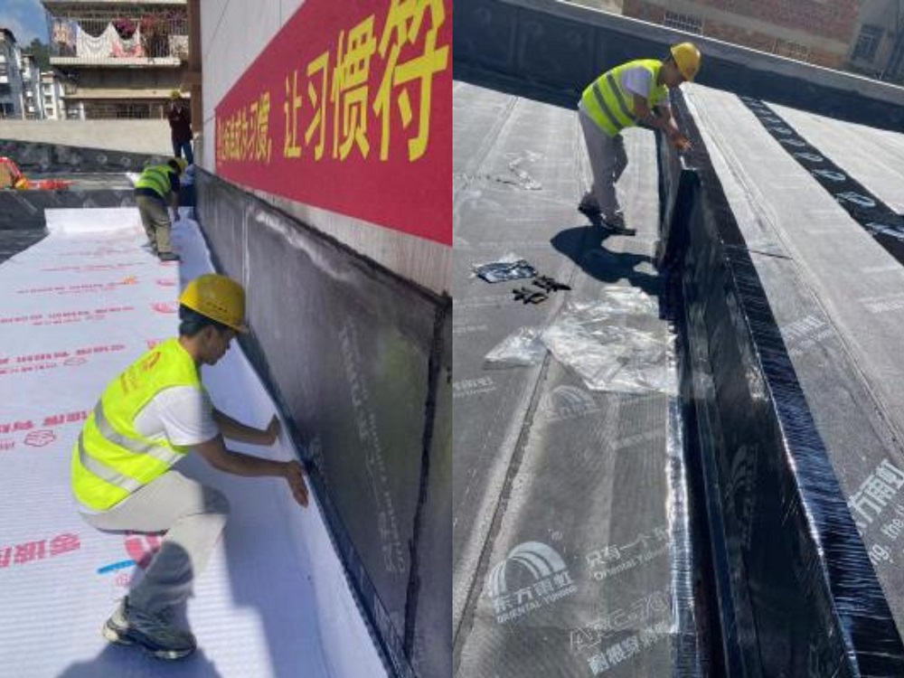 ˳ӯ����-����ƽ̨,ע�ᳩ����Ԫѡ��!