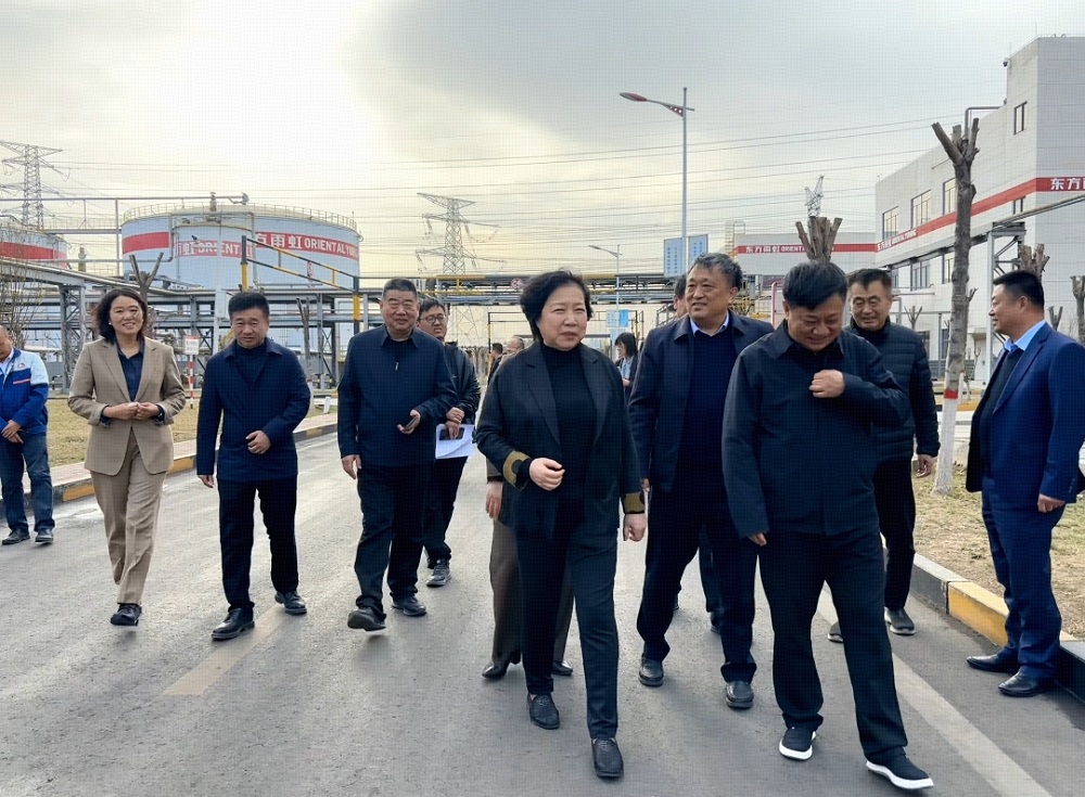 ˳ӯ����-����ƽ̨,ע�ᳩ����Ԫѡ��!