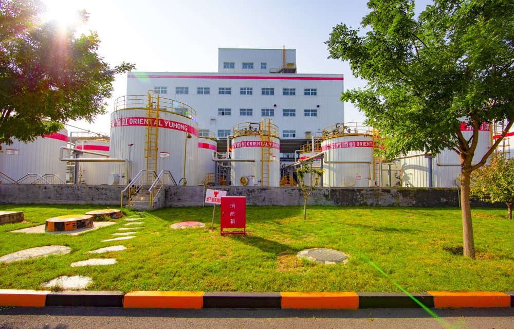 ˳ӯ����-����ƽ̨,ע�ᳩ����Ԫѡ��!