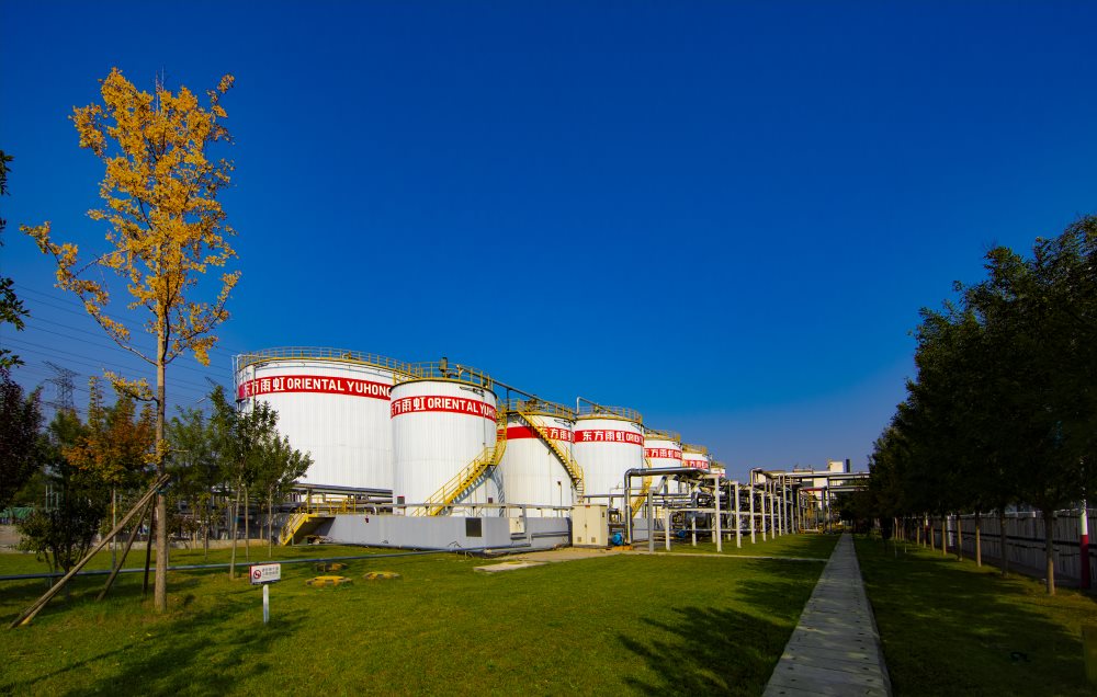 ˳ӯ����-����ƽ̨,ע�ᳩ����Ԫѡ��!