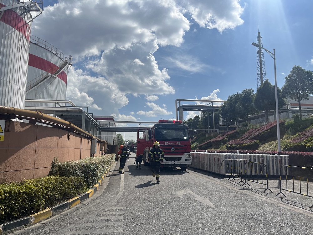 ˳ӯ����-����ƽ̨,ע�ᳩ����Ԫѡ��!